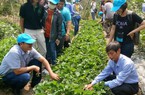 Sang Thái Lan, nông dân giỏi Việt Nam thấy gì, học được gì?