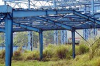 Vì sao 5 cựu lãnh đạo liên quan dự án Gang thép Thái Nguyên bị bắt?