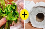 15 mẹo giúp bảo quản rau củ, trái cây tươi mới, không giập nát