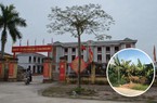 UBND tỉnh Hưng Yên chỉ đạo "nóng" vụ việc tại xã Phạm Ngũ Lão