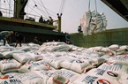 Đề nghị điều tra nhóm lợi ích trục lợi chính sách xuất khẩu gạo