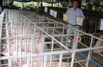 Chăn nuôi thủy sản: DN ngoại độc chiếm