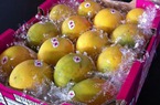 12 quả xoài giá hơn... 1 tỷ đồng