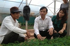 Việt Nam chi nửa tỷ USD nhập giống rau củ