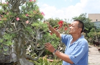 Nông dân TP.HCM hào hứng dạy nhau... kiếm tiền triệu