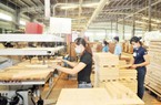 Tiếp tục phát hiện các sai lệch nghiêm trọng tại Gỗ Trường Thành