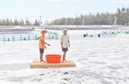 "Thả" 20 tỷ đồng nuôi tôm trên cát, lãi ròng 10 tỷ mỗi vụ