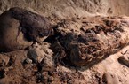 Nghĩa địa cổ Ai Cập mới được phát hiện ẩn chứa bí mật rùng rợn