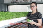 Chỉ trồng 500m2 rau mầm, cặp vợ chồng lãi 700 ngàn đồng/ngày