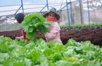 Hà Nội: Tìm giải pháp tiêu thụ nông, lâm, thủy sản an toàn