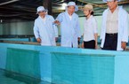 Đắc Lộc nuôi tôm hùm thương phẩm trong bể, trên bờ đầu tiên cả nước