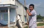 Nông dân Việt Nam xuất sắc 2019: Từ tay trắng đến “vua” tôm, cá