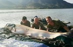Người đàn ông Anh câu được cá “khủng” nặng 100kg, lớn nhất ở châu Âu