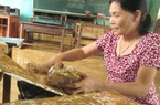 Nơi rốn lũ không có ngày vui