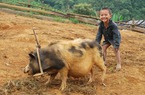 Sân chơi của bé