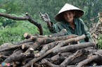 Cụ bà 72 tuổi &#34;khỏe như lực sĩ&#34; ở Sài Gòn