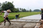 Liễn Sơn phấn đấu về đích đúng hẹn