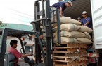 Xuất khẩu số 1 thế giới vẫn phải nhập khẩu cà phê từ Lào, Trung Quốc