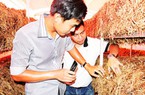 "Cặp đôi hoàn hảo", nàng cử nhân, chàng kỹ sư về quê trồng nấm rơm