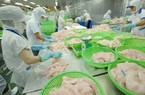 Về một nhà với 'vua cá tra', Thủy sản An Giang... có còn cơ hội tăng trưởng?