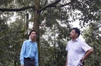 Những tỷ phú sầu riêng vươn lên từ nghèo khó