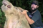 Săn được lợn rừng khổng lồ ở nơi không ai ngờ tới