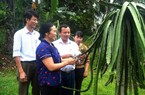 Nghệ An: Hội Nông dân góp sức làm thay đổi diện mạo nông thôn