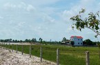 Quảng Bình: Giao 54ha đất trái thẩm quyền, loay hoay xử lý