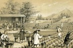 Vụ đánh cắp chè thế kỷ, huỷ hoại nền kinh tế Trung Quốc (Kỳ 1): Cuộc lật đổ