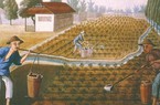 Vụ đánh cắp chè thế kỷ, huỷ hoại nền kinh tế Trung Quốc (Kỳ cuối): Chiến tranh