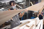 Hiến kế để xuất khẩu gỗ Việt Nam đạt con số 18-20 tỷ USD