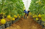 Khoa học và Công nghệ đồng hành phục vụ phát triển kinh tế xã hội địa phương
