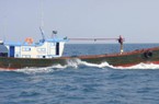 Nhiều tàu cá Trung Quốc tháo chạy khi bị phát hiện xâm phạm biển Việt Nam