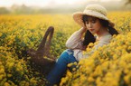 Ảnh, clip: Ngắm cánh đồng cúc "tiến vua" vàng rực ở Hưng Yên dịp giáp Tết