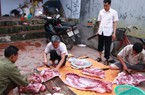 Giá heo hơi hôm nay 1/1/2020: 10 ngày nữa sẽ đón đợt tăng mới?