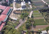 Hà Nội: Đấu giá đất liên tục trúng cao tạo nguồn thu lớn cho các huyện