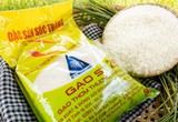 Gạo Việt Nam lần đầu tiên được bày bán trên thị trường Nhật Bản