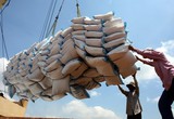 Nguồn cung giảm, giá gạo xuất khẩu Việt Nam tăng vọt lên mức 423 USD/tấn