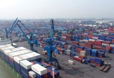 Cảng Đình Vũ (DVP) chốt ngày tạm ứng cổ tức năm 2023, bằng tiền mặt 25% 