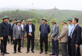 Trưởng Ban Kinh tế Trung ương Trần Tuấn Anh: Quảng Ninh cần kết hợp phát triển kinh tế rừng và biển