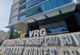 Cao su Việt Nam (GVR) dự trình kế hoạch lãi đi lùi 11%, chia cổ tức 3%