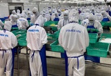 Doanh thu tháng 5 của Thực phẩm Sao Ta (FMC) giảm sâu 44% so với cùng kỳ