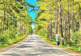 Nghiên cứu đầu tư cao tốc Quảng Ngãi - Kon Tum