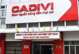 Dây Cáp điện Việt Nam (CAV): Lên kế hoạch lợi nhuận trước thuế đạt 450 tỷ, dự chia cổ tức tỷ lệ 100% 