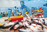Triển vọng không mấy tươi sáng, dự báo DN XK thủy sản ghi nhận mức tăng trưởng lãi ròng âm trong năm 2023