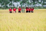 Quảng Trị: Agribank sát cánh cùng bà con nông dân cho những vụ mùa bội thu