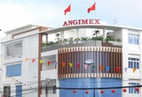 Lỗ lũy kế vượt vốn điều lệ, Angimex khẳng định có thể tiếp tục hoạt động