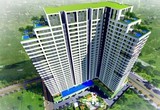 Đầu tư Xây dựng Dầu khí IDICO chốt ngày tạm ứng cổ tức năm 2024 bằng tiền 20%