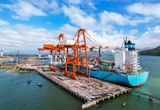 KQKD quý I/2024: Cảng Quy Nhơn (QNP) báo lãi hơn 40 tỷ đồng, đạt 35% kế hoạch năm