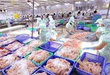 KQKD quý I/2024: Một doanh nghiệp thủy sản báo lãi tăng 20%, dư nợ tài chính hơn 764 tỷ đồng